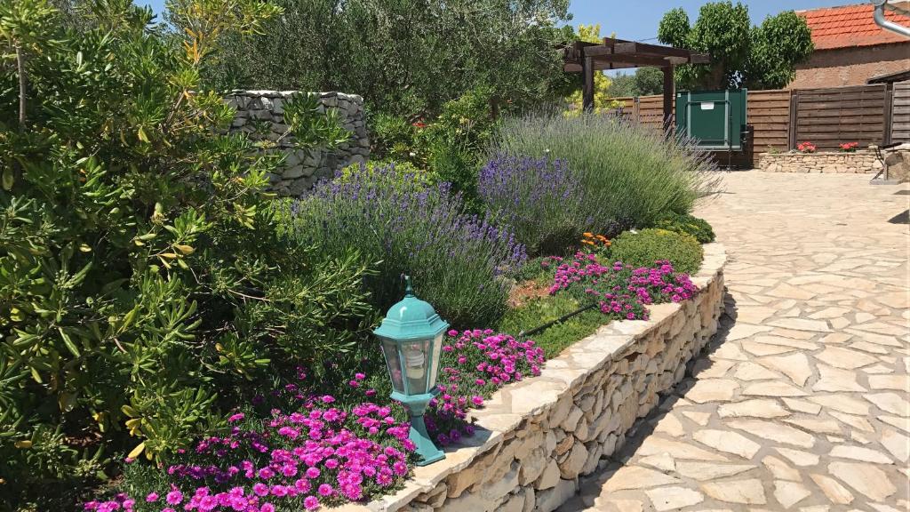 Lavanda oko kuće za odmor Ivini dvori